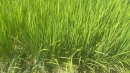 画像: ８月店長日記